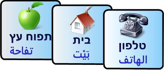 רב-לשוניות